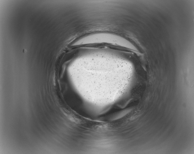 X0000064770068200603031836