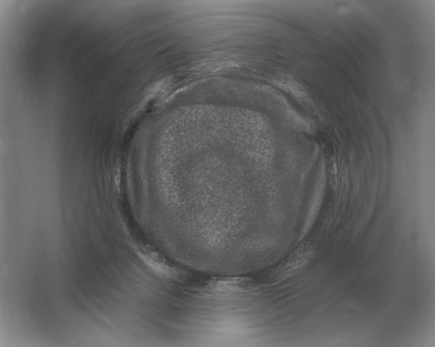 X0000064770072200603031836