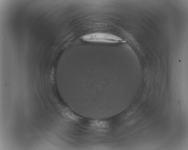 X0000064770073200603031836