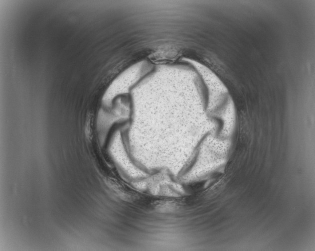 X0000064770074200603031836