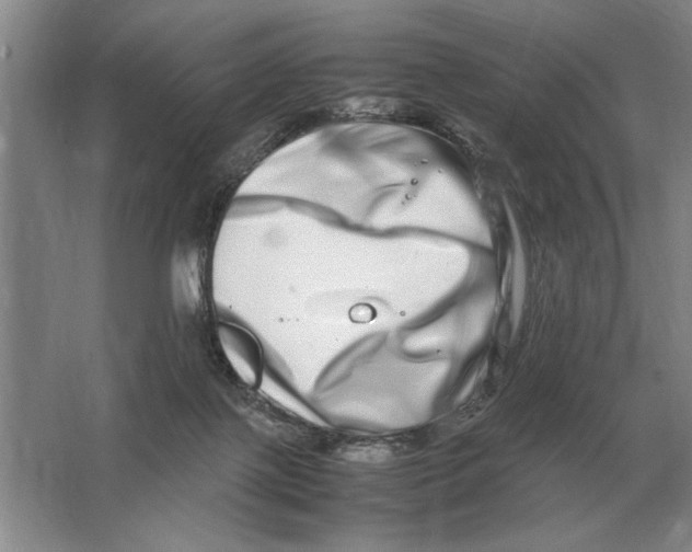 X0000064770075200603031836