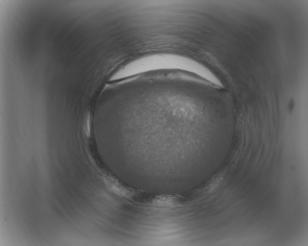 X0000064770076200603031836