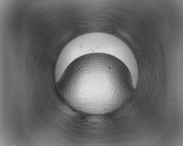 X0000064770077200603031836