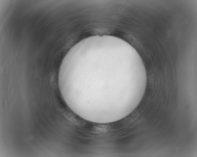 X0000064770079200603031836