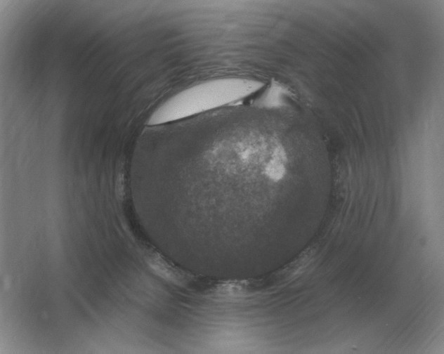 X0000064770080200603031836