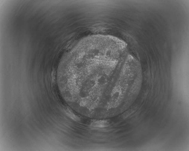 X0000064770081200603031836