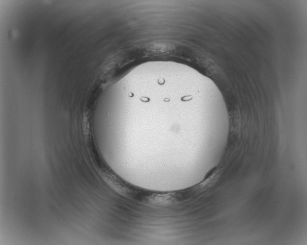 X0000064770086200603031836