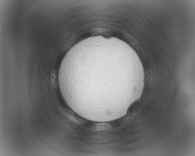 X0000064770087200603031836