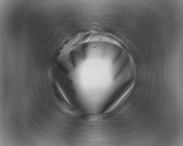 X0000064770088200603031836