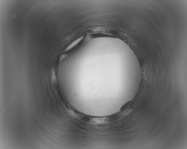 X0000064770089200603031836