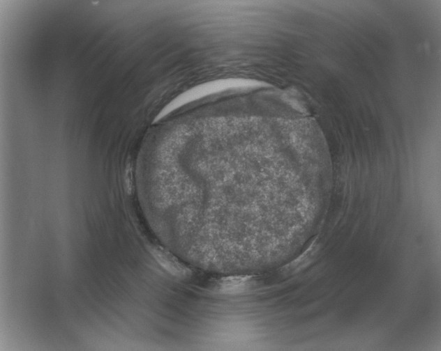 X0000064770090200603031836