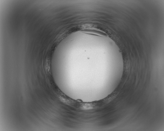 X0000064770091200603031836