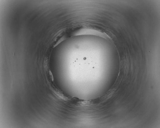 X0000064770092200603031836