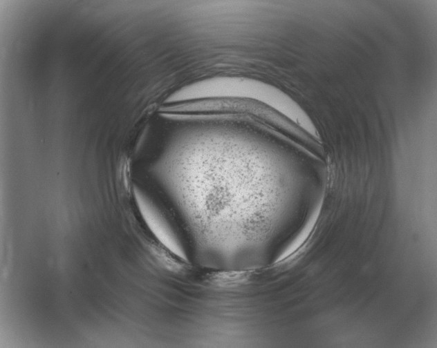 X0000064770094200603031837