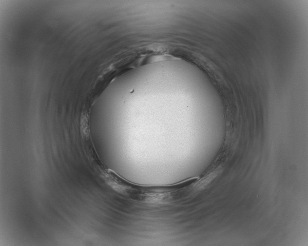 X0000064770096200603031837