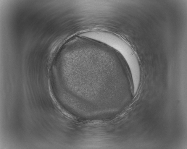 X0000064770097200603031836