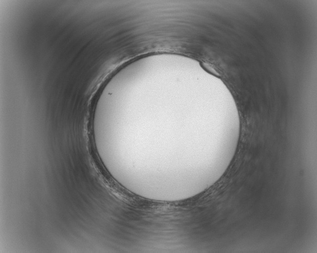 X0000064770098200603031836