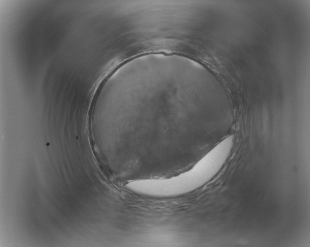 X0000064770099200603031836