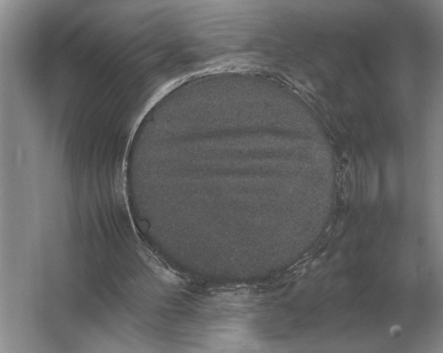 X0000064770100200603031836