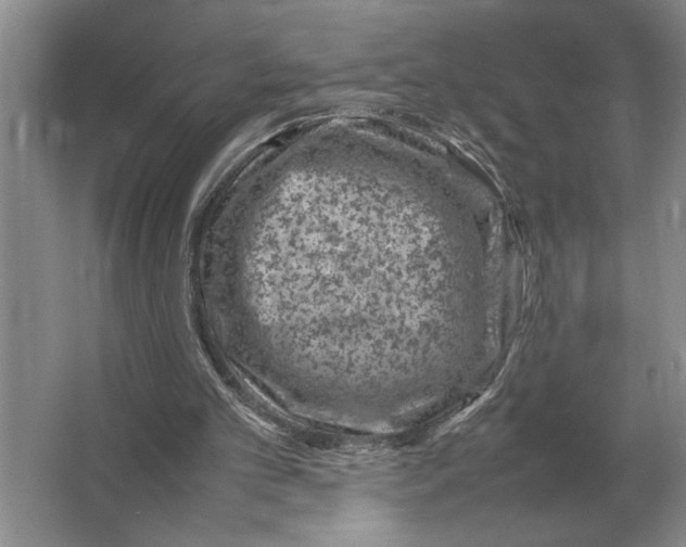 X0000064770101200603031836