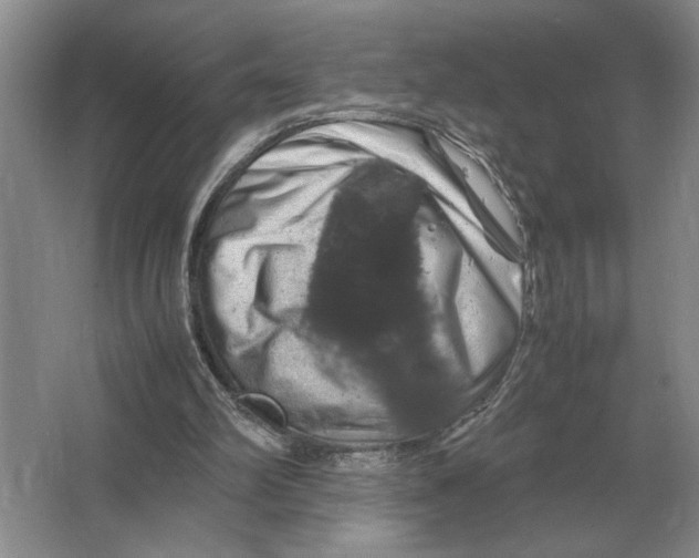 X0000064770102200603031836