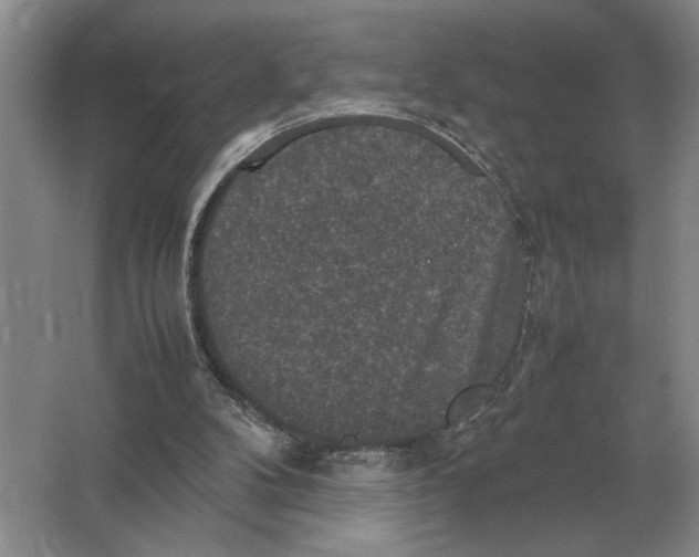 X0000064770104200603031836