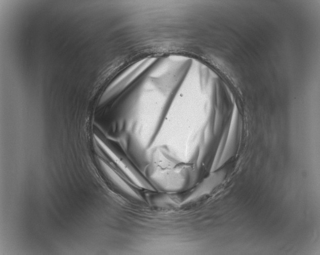 X0000064770105200603031836