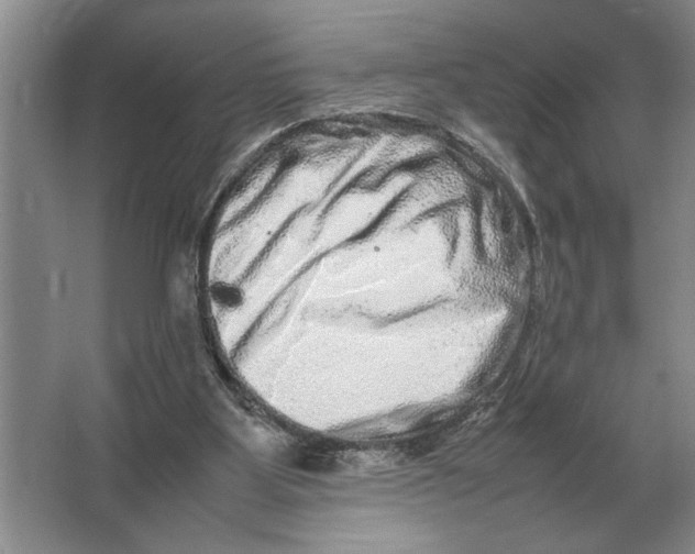 X0000064770107200603031836