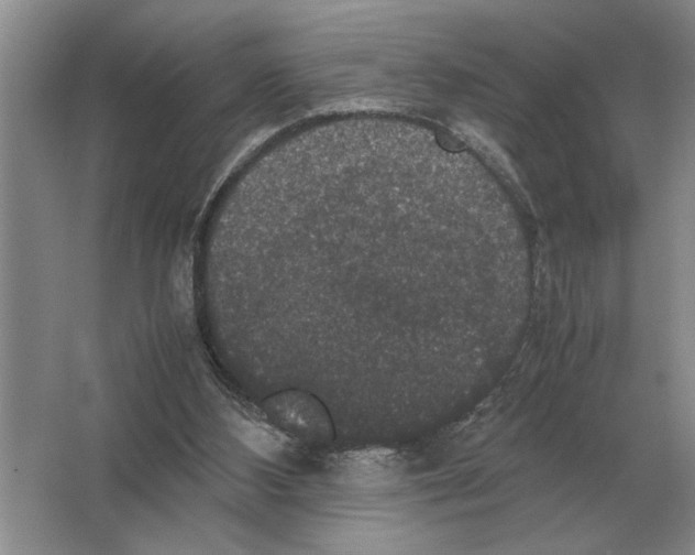 X0000064770108200603031836