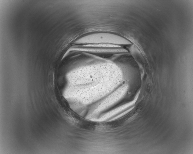 X0000064770109200603031836