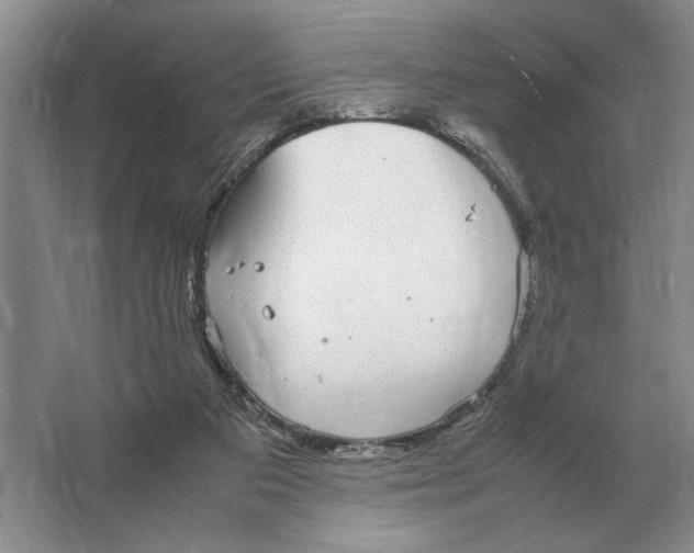 X0000064770113200603031835