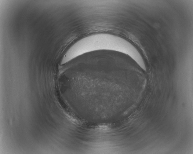 X0000064770114200603031835