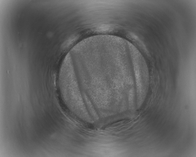 X0000064770115200603031835