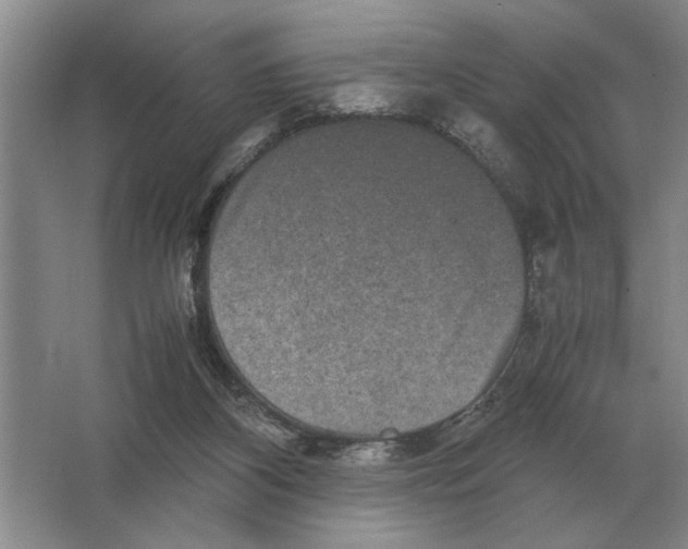 X0000064770116200603031835