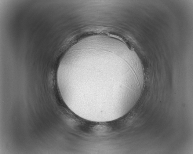 X0000064770119200603031835