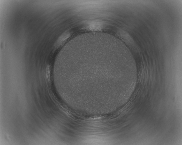 X0000064770120200603031835