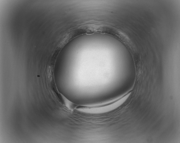 X0000064770121200603031835