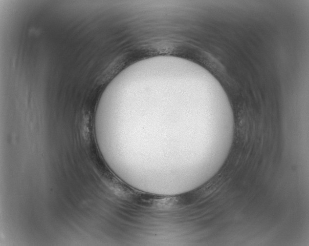 X0000064770122200603031835