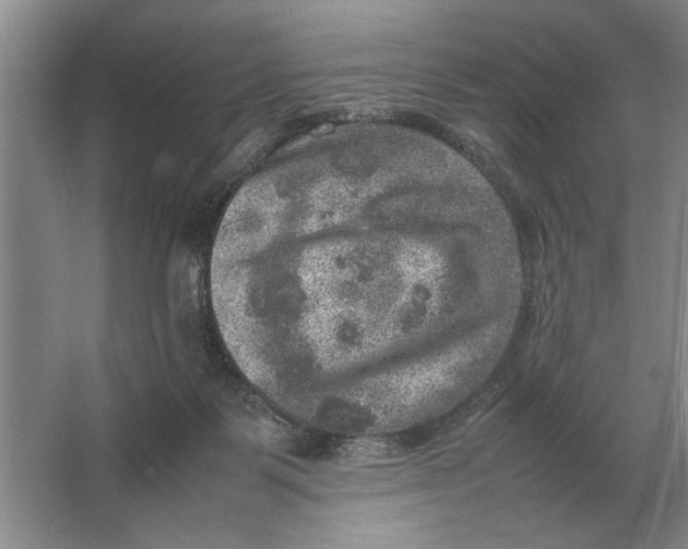 X0000064770123200603031835