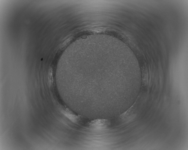 X0000064770128200603031835