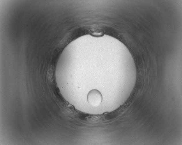 X0000064770129200603031835