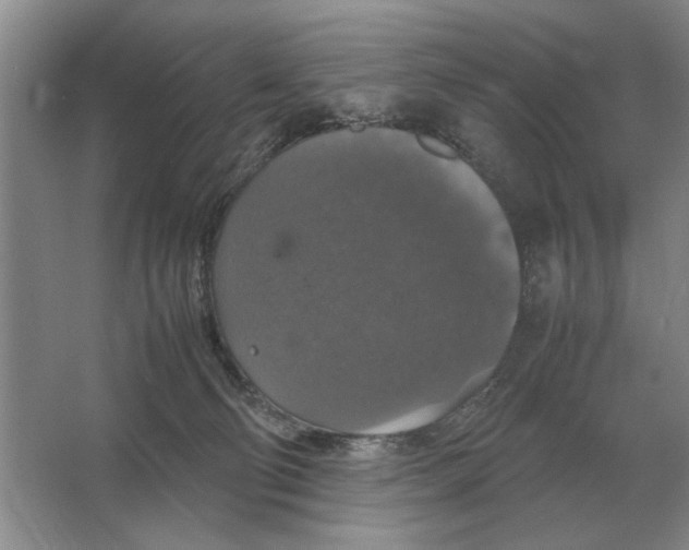 X0000064770130200603031835