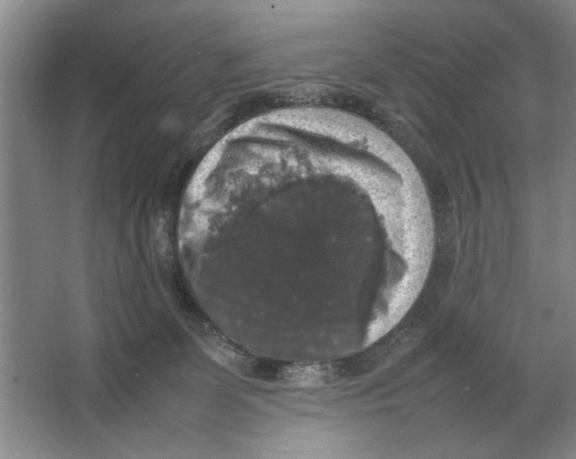 X0000064770131200603031835