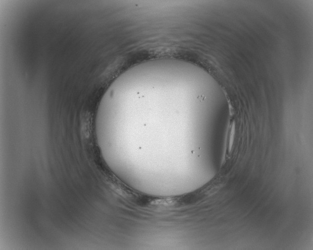 X0000064770133200603031835