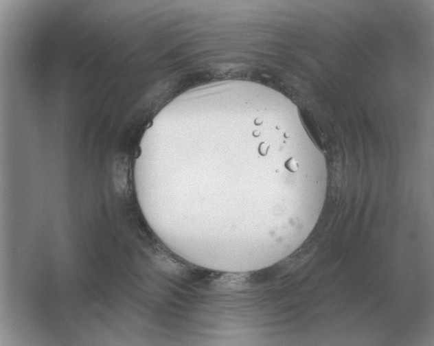 X0000064770138200603031835