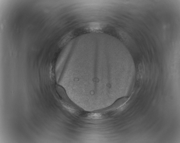 X0000064770140200603031835