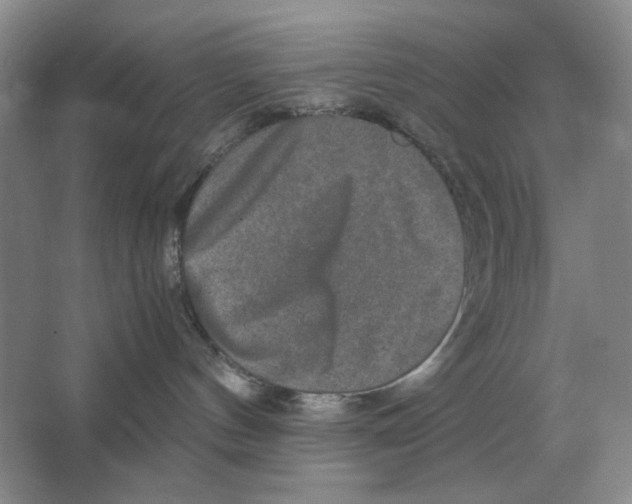 X0000064770144200603031835