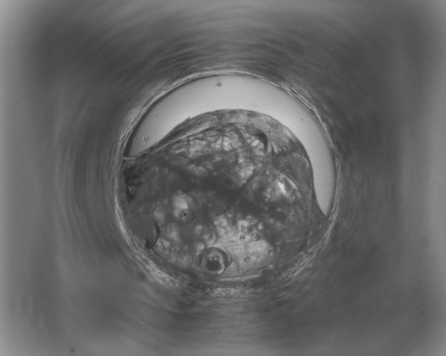 X0000064770145200603031834