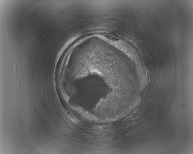 X0000064770147200603031834