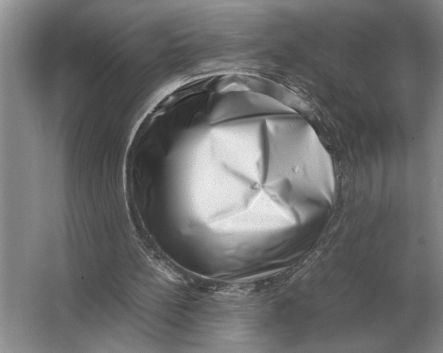 X0000064770148200603031834